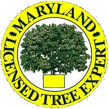 Local garden landscaping for beautiful yards in Colora, MD by Blanford's Tree Service