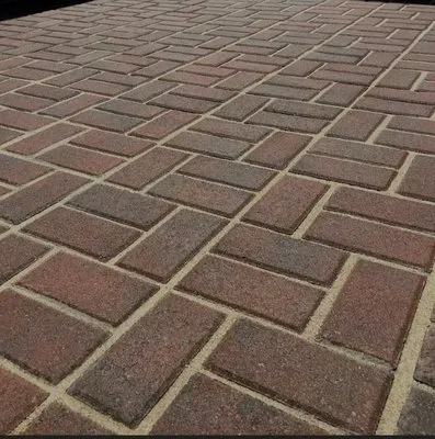 Blank Canvas Landscaping Logo