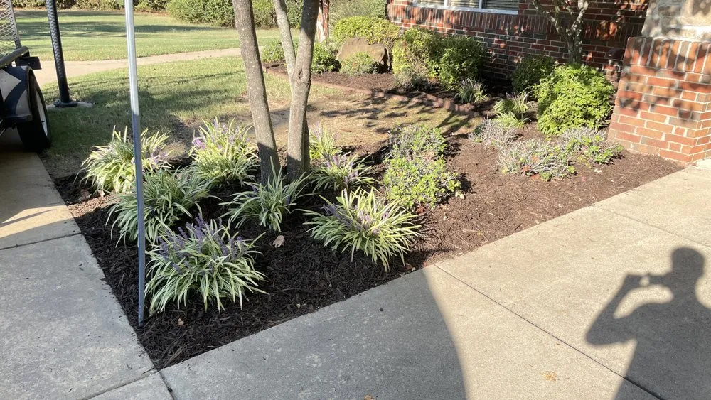 Affordable landscaping services experts serving Conway, AR - Blankenship Outdoors
