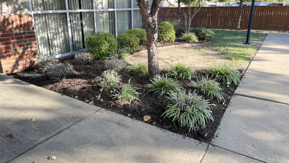 Custom lawn care service for homes across Conway, AR - Blankenship Outdoors