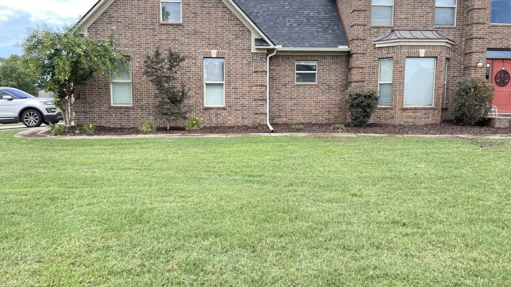 Custom yard cleanup service experts serving Conway, AR - Blankenship Outdoors