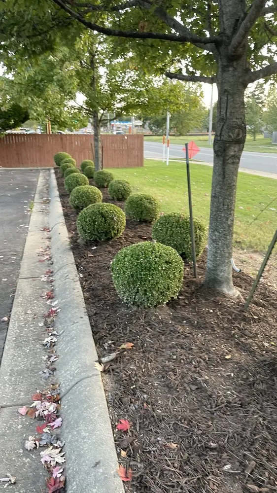 Top-rated lawn mowing service for outdoor upgrades across Conway, AR - Blankenship Outdoors