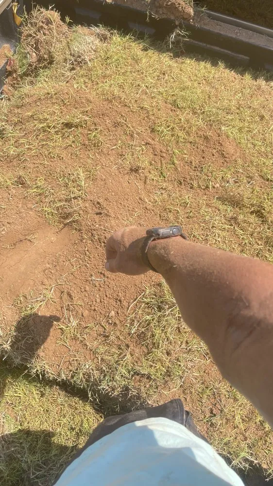 Local yard cleanup service with custom design across Conway, AR - Blankenship Outdoors