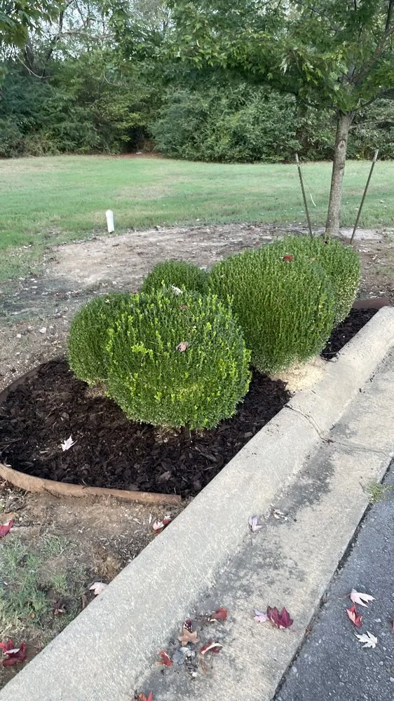 Local landscape design in Conway, AR by Blankenship Outdoors