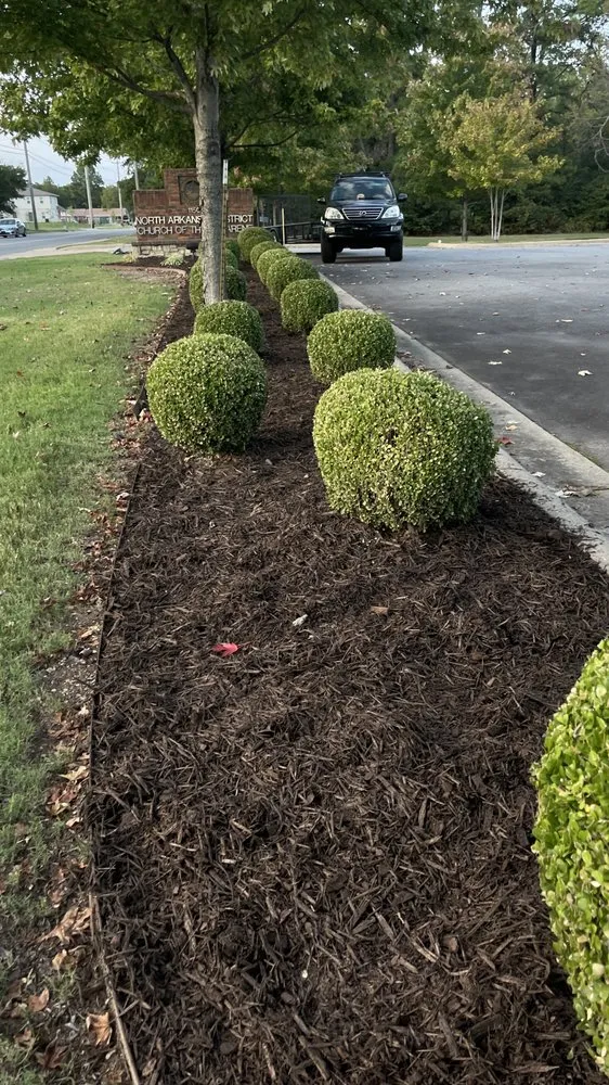 Local lawn care service experts serving Conway, AR - Blankenship Outdoors