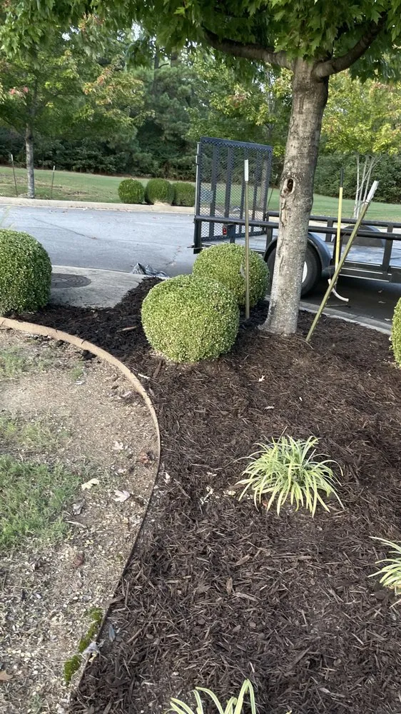 Reliable outdoor landscaping in Conway, AR - Blankenship Outdoors