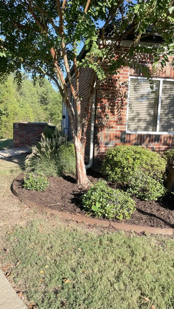 Top-rated lawn care service for beautiful yards across Conway, AR - Blankenship Outdoors