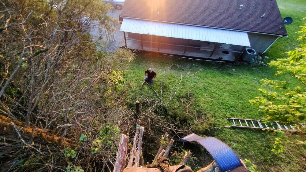 Local landscape installation in Cynthiana, KY - Blankenship Property Preservation