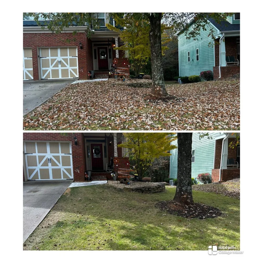 Professional yard cleanup service for residential properties across Newnan, GA - Blanton’s Lawn Care