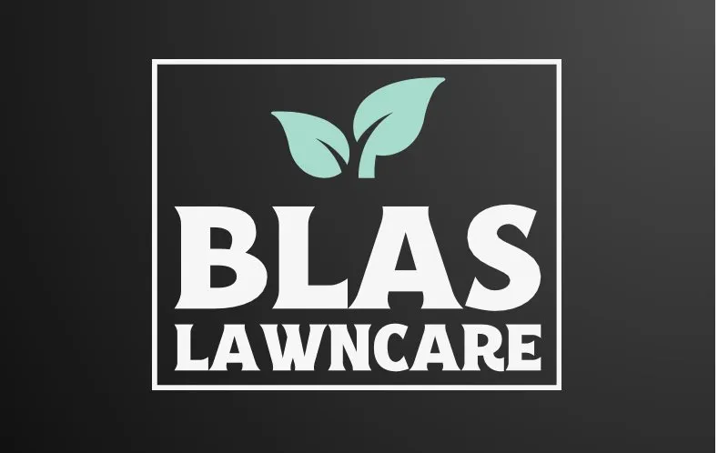 Professional garden landscaping for year-round maintenance in Fresno, CA by Blas Lawn Care