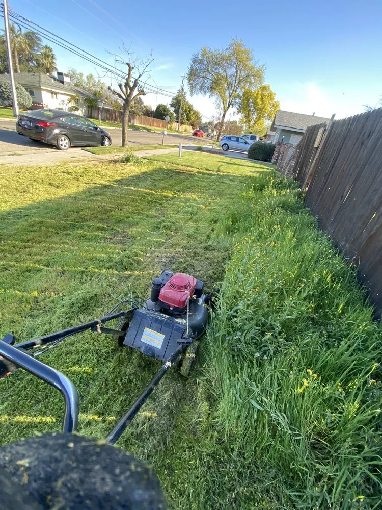 Custom yard cleanup service experts serving Fresno, CA - Blas Lawn Care