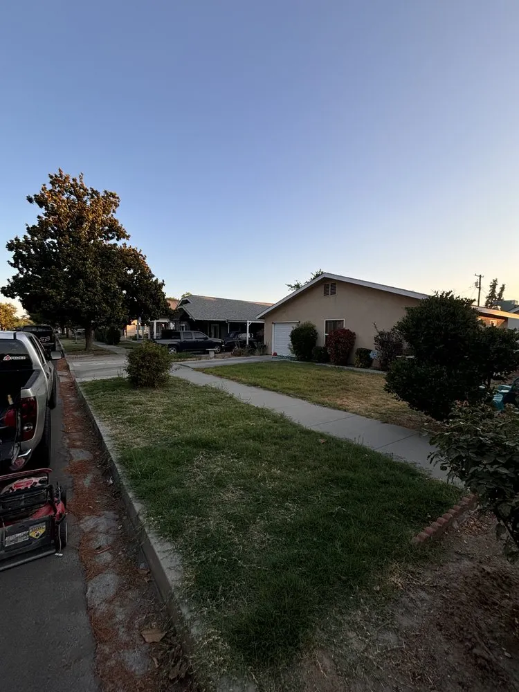 Custom yard cleanup service for beautiful yards across Selma, CA - Blas Lawn Service