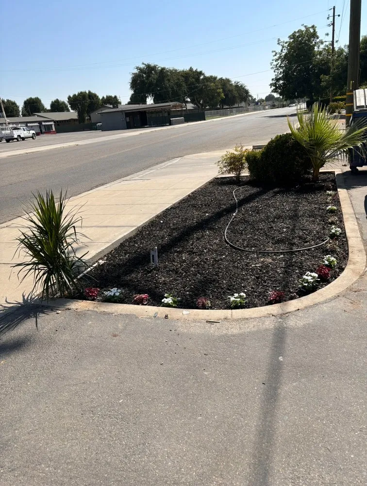 Custom lawn care service in Selma, CA by Blas Lawn Service