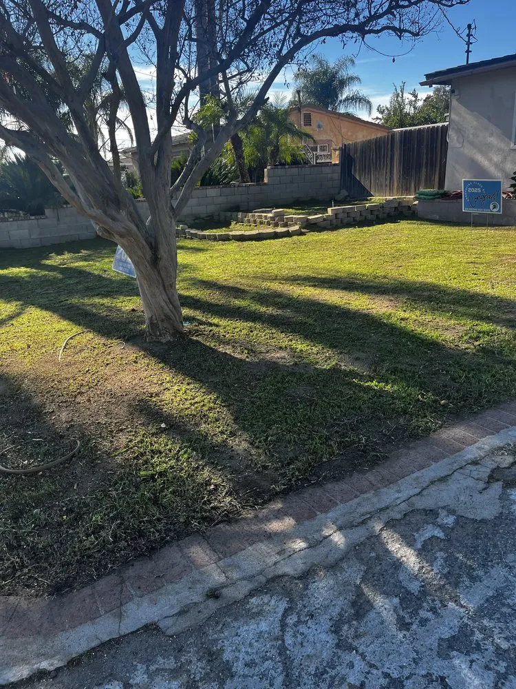 Expert yard cleanup service experts serving Placentia, CA - Blast And Trim Services