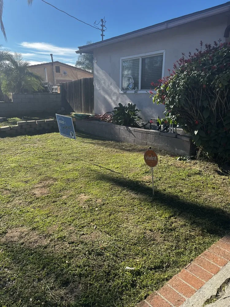 Affordable landscaping services in Placentia, CA by Blast And Trim Services