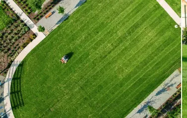 Trusted landscaping services in Wood River, IL - Blasys lawn care