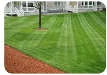 Professional landscaping services for year-round maintenance across Wood River, IL - Blasys lawn care