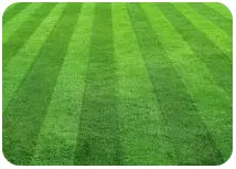 Affordable landscape design in Wood River, IL - Blasys lawn care