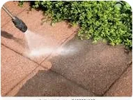 Trusted yard maintenance near you in Wood River, IL by Blasys lawn care