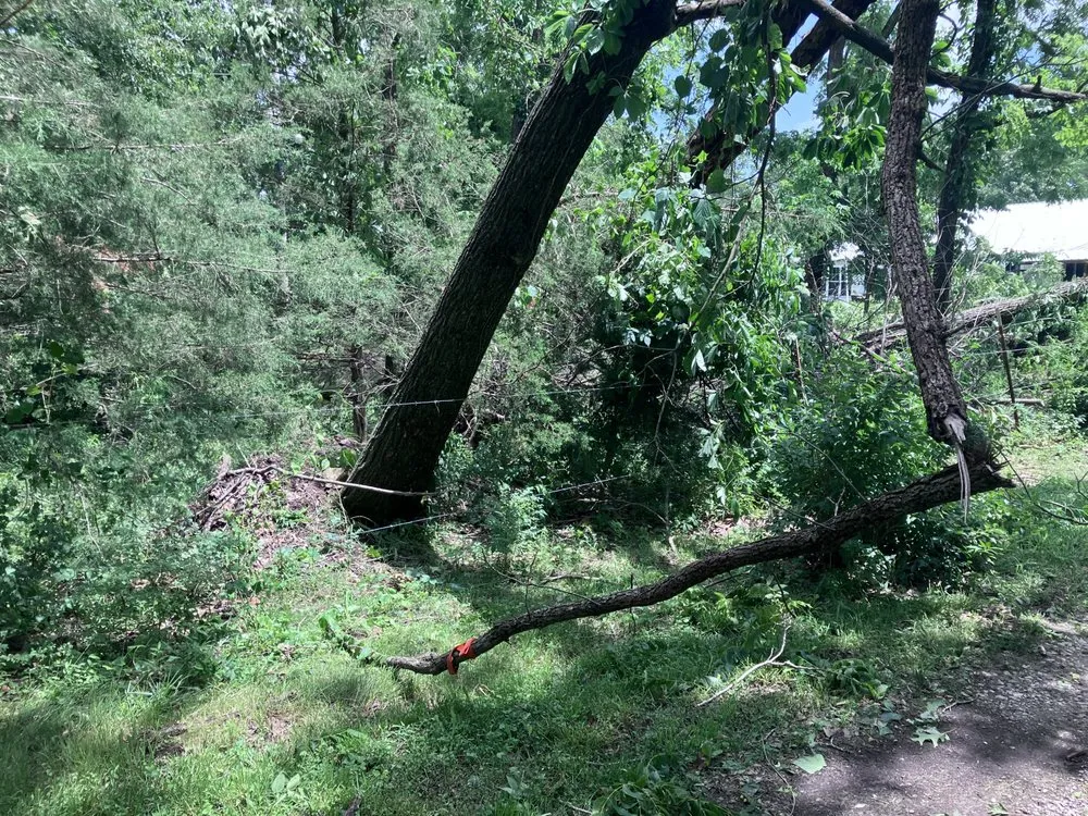 Local garden landscaping experts serving Rogers, AR - Blau & Sons Outdoor Services