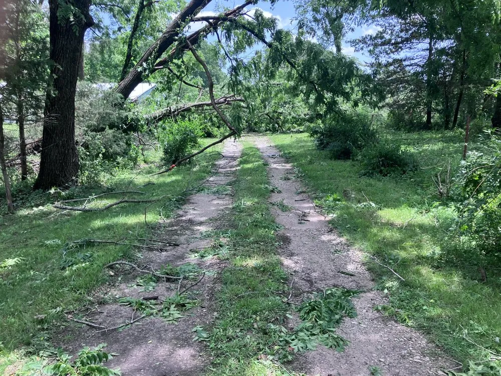 Trusted garden landscaping for beautiful yards across Rogers, AR - Blau & Sons Outdoor Services