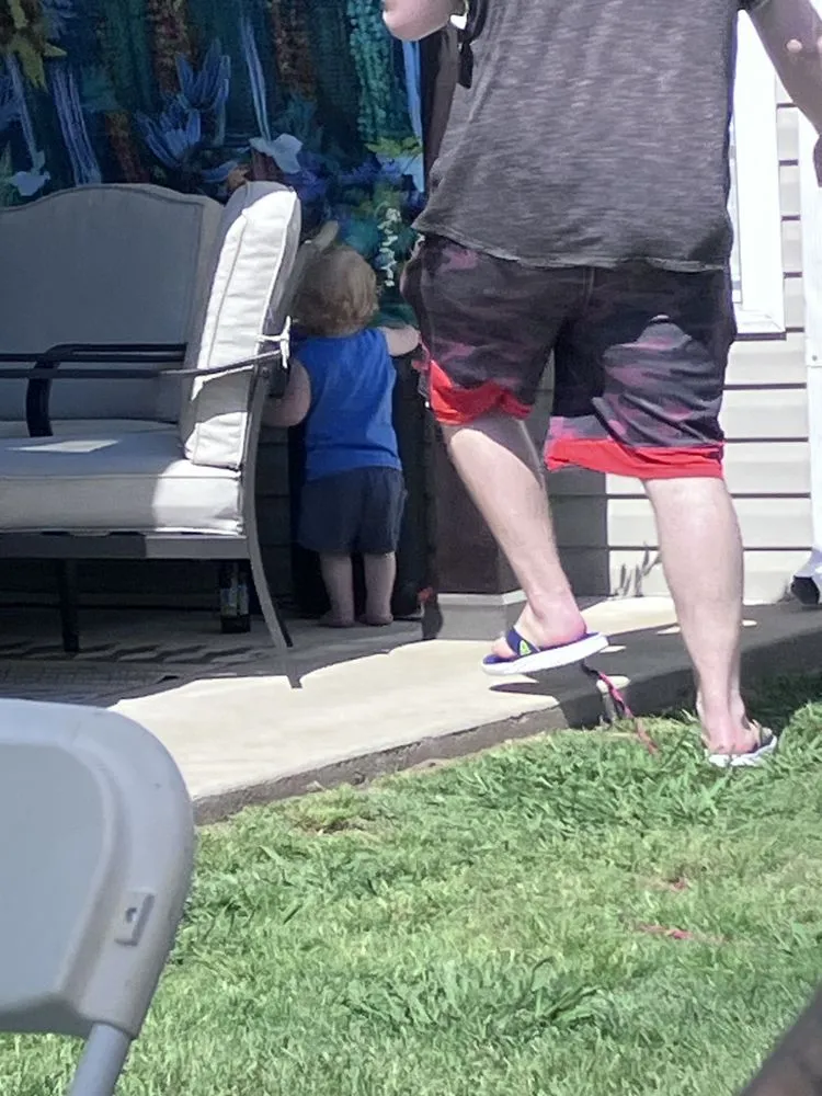 Top-rated landscaping services for year-round maintenance in Rogers, AR by Blau & Sons Outdoor Services