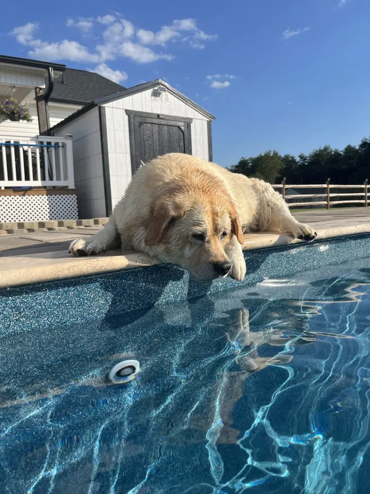 Trusted lawn care service in Mooresville, NC by Blaze ProScapes