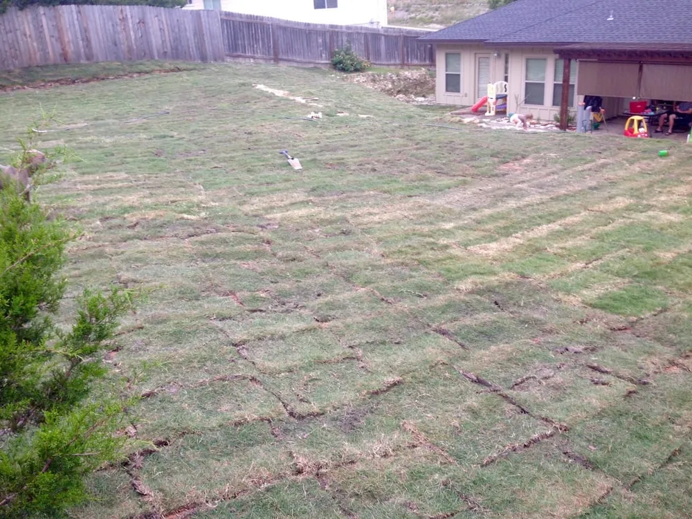 Custom landscape design in Dripping Springs, TX - Blazek Landscapes