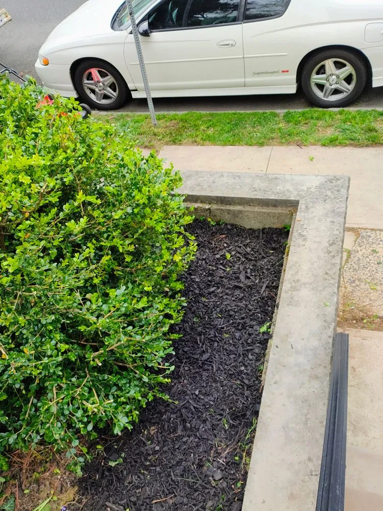 Expert garden landscaping in Newark, NJ - BlazeNWar Cleaning