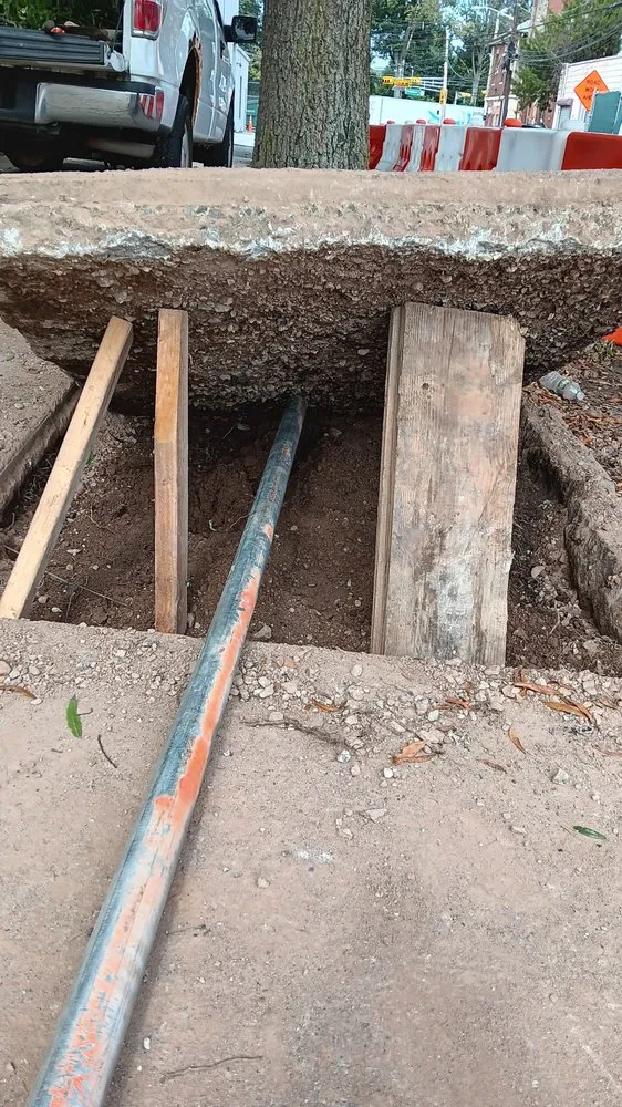 Affordable yard maintenance in Newark, NJ - BlazeNWar Cleaning