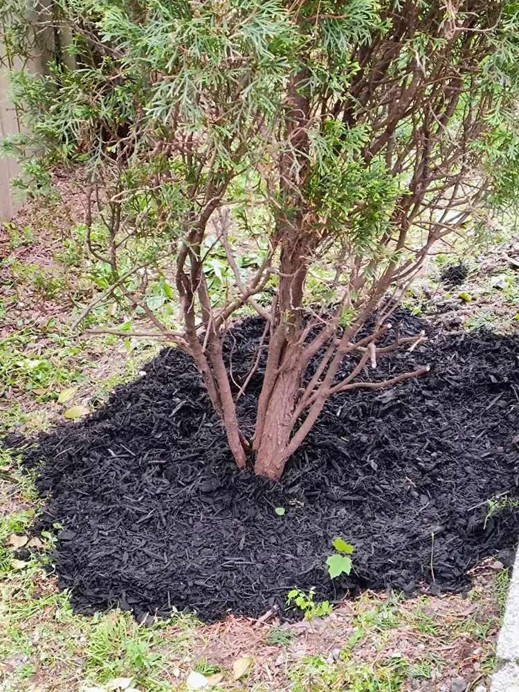 Reliable landscape installation experts serving Newark, NJ - BlazeNWar Cleaning