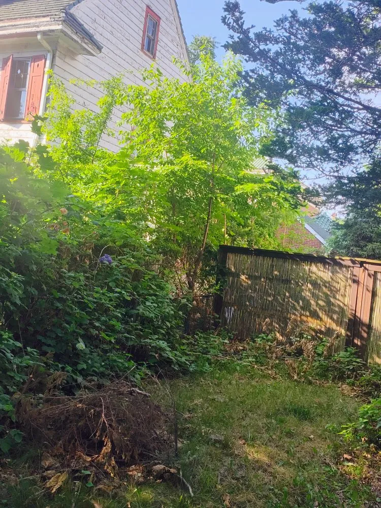 Top-rated outdoor landscaping with custom design across Newark, NJ - BlazeNWar Cleaning