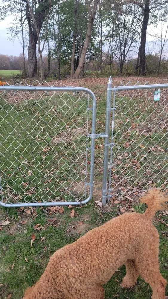 Local yard cleanup service for year-round maintenance across Flint, MI - Blazer's Outdoor Services & Home Improvement