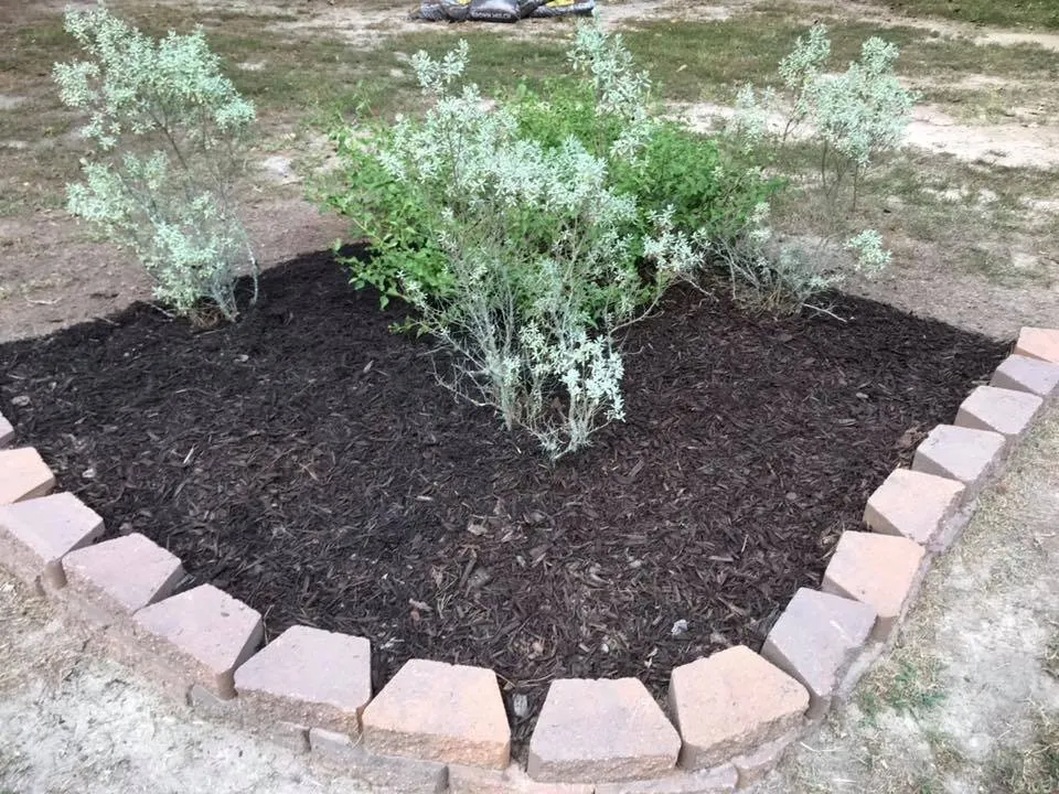 Top-rated yard cleanup service for outdoor upgrades across Huntsville, TX - Blazin' T Services