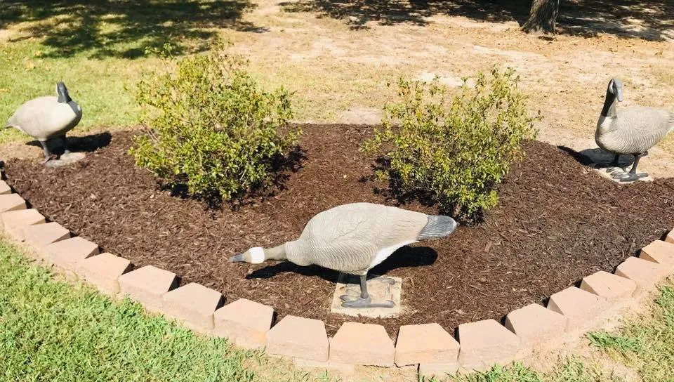 Reliable lawn care service in Huntsville, TX - Blazin' T Services