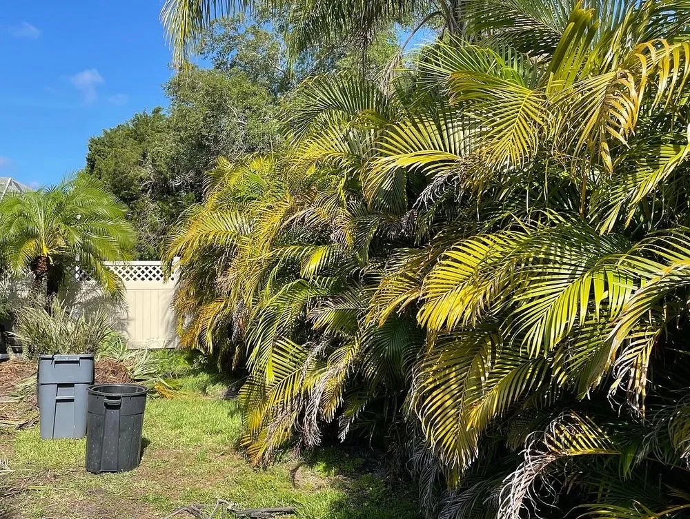 Professional residential landscaping for beautiful yards in Clearwater, FL by Blazing Stars Landscape Design