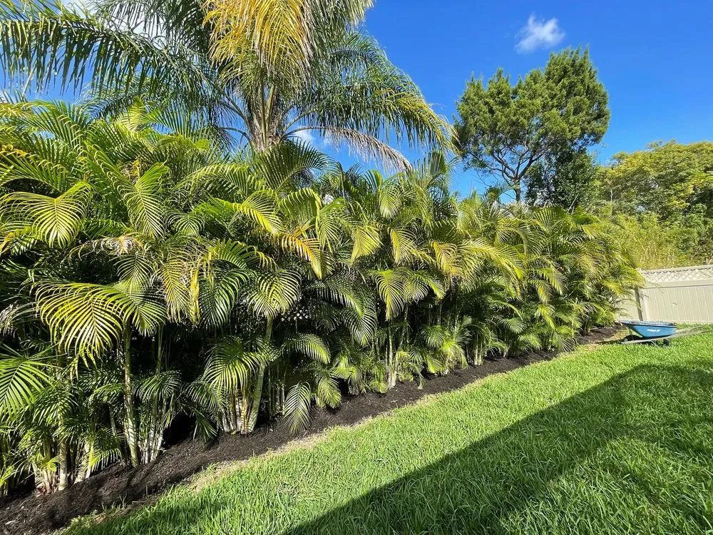 Reliable landscape installation near you in Clearwater, FL by Blazing Stars Landscape Design
