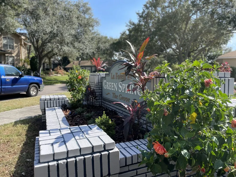 Expert landscape design near you across Clearwater, FL - Blazing Stars Landscape Design