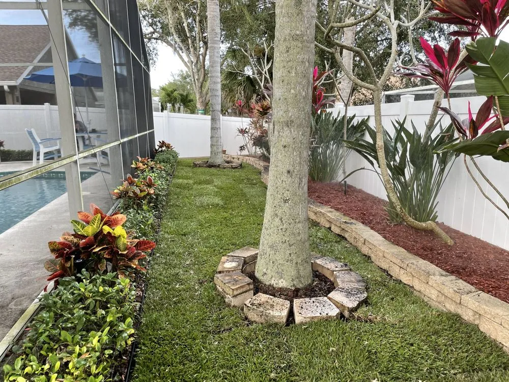 Local yard maintenance in Clearwater, FL - Blazing Stars Landscape Design