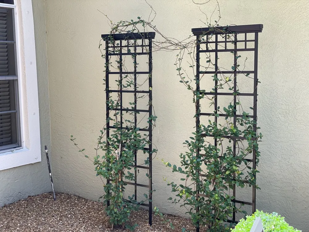 Expert outdoor landscaping in Clearwater, FL - Blazing Stars Landscape Design