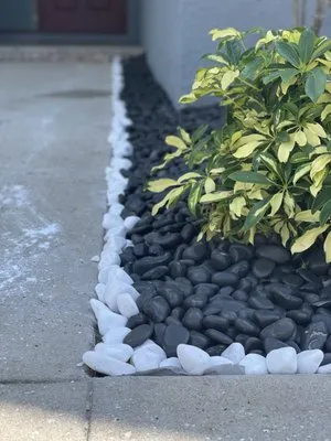 Blazing Stars Landscape Design Logo