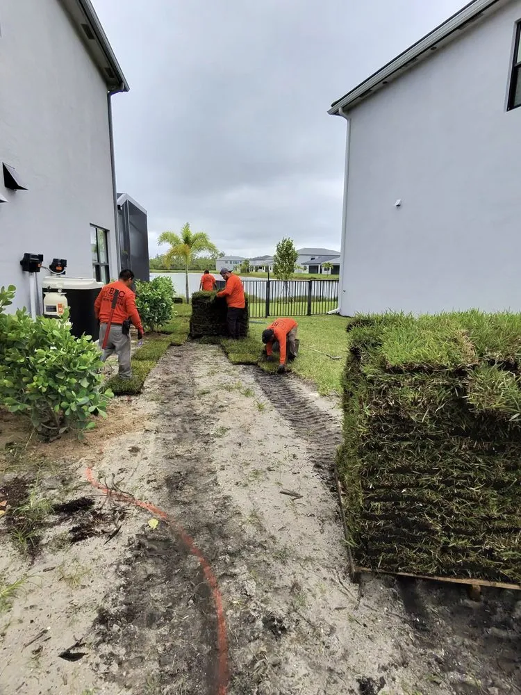 Custom yard maintenance in Naples, FL - BLC Landscape