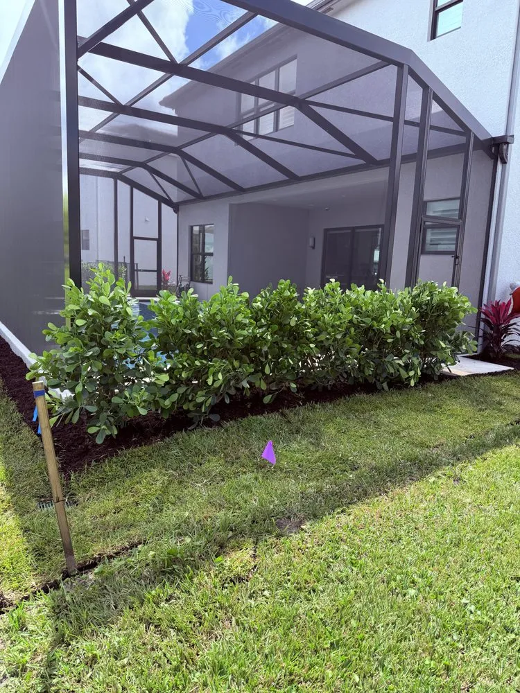 Local yard cleanup service in Naples, FL - BLC Landscape