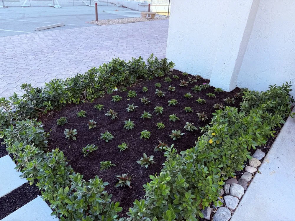 Local outdoor landscaping for outdoor upgrades in Naples, FL by BLC Landscape