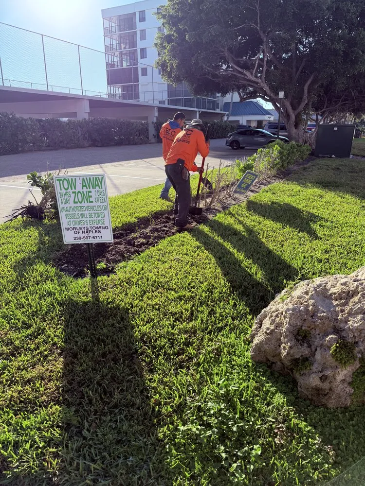 Affordable landscape installation with custom design in Naples, FL by BLC Landscape