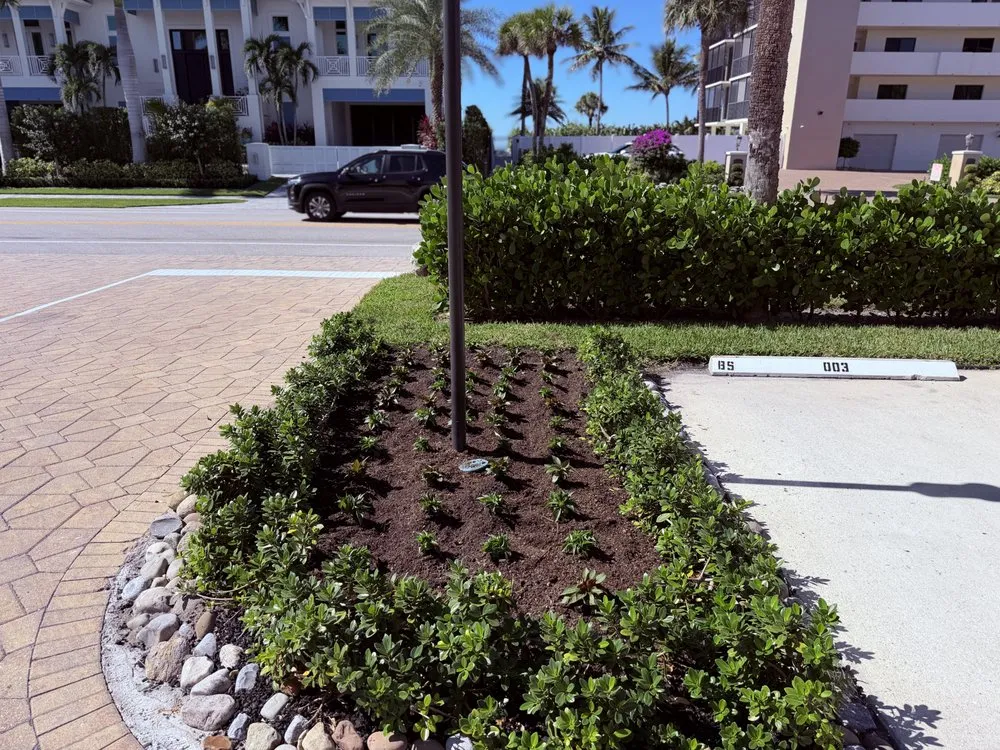 Reliable landscaping services in Naples, FL - BLC Landscape