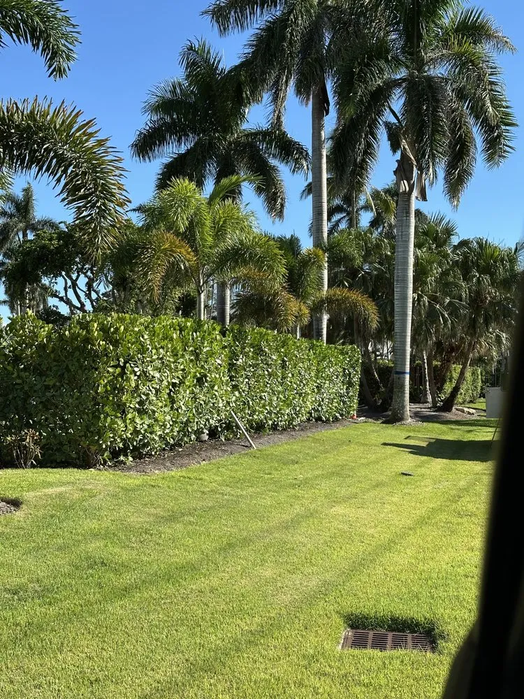 Local outdoor landscaping experts serving Naples, FL - BLC Landscape