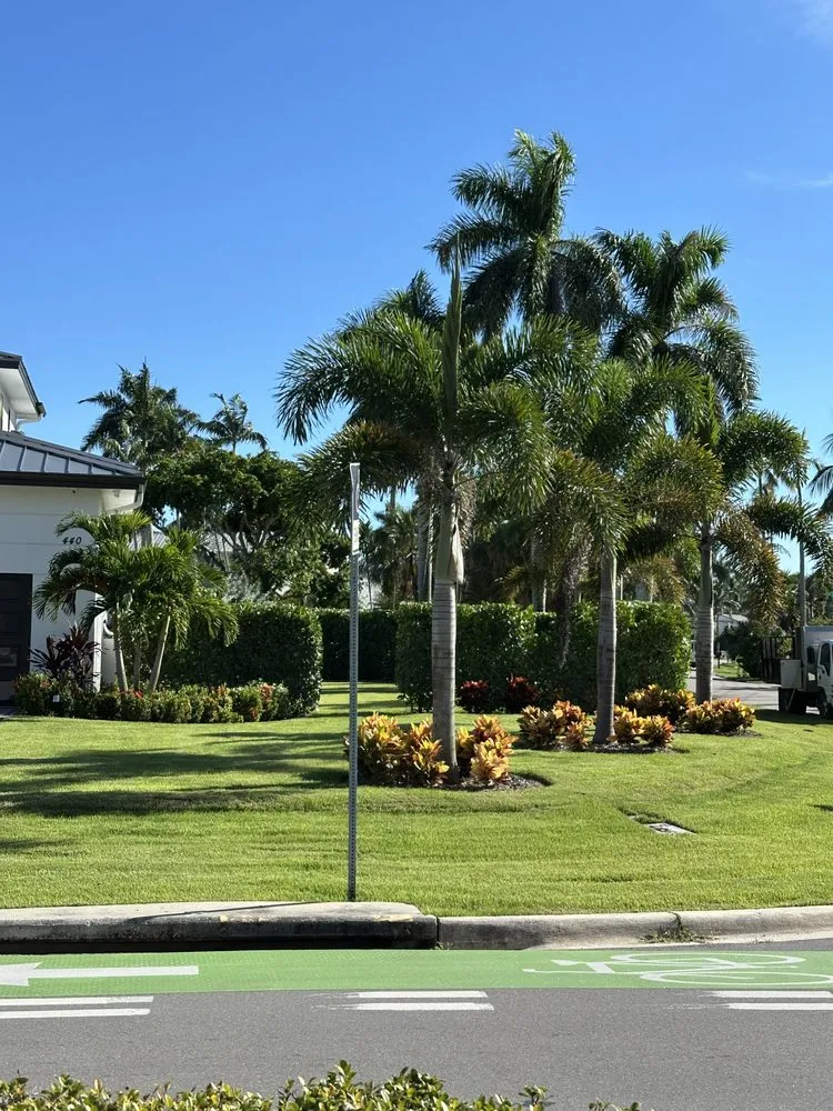 Professional landscape installation for beautiful yards across Naples, FL - BLC Landscape