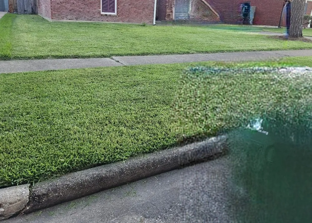 Reliable yard cleanup service for homes in La Marque, TX by BLC Lawn Care