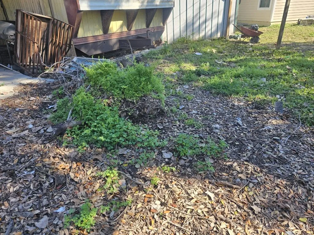 Professional residential landscaping for year-round maintenance across La Marque, TX - BLC Lawn Care